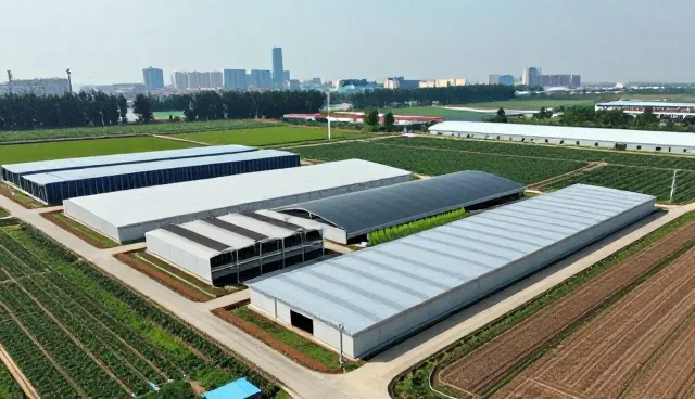 设计在用户体验中的关键作用与应用场景分析